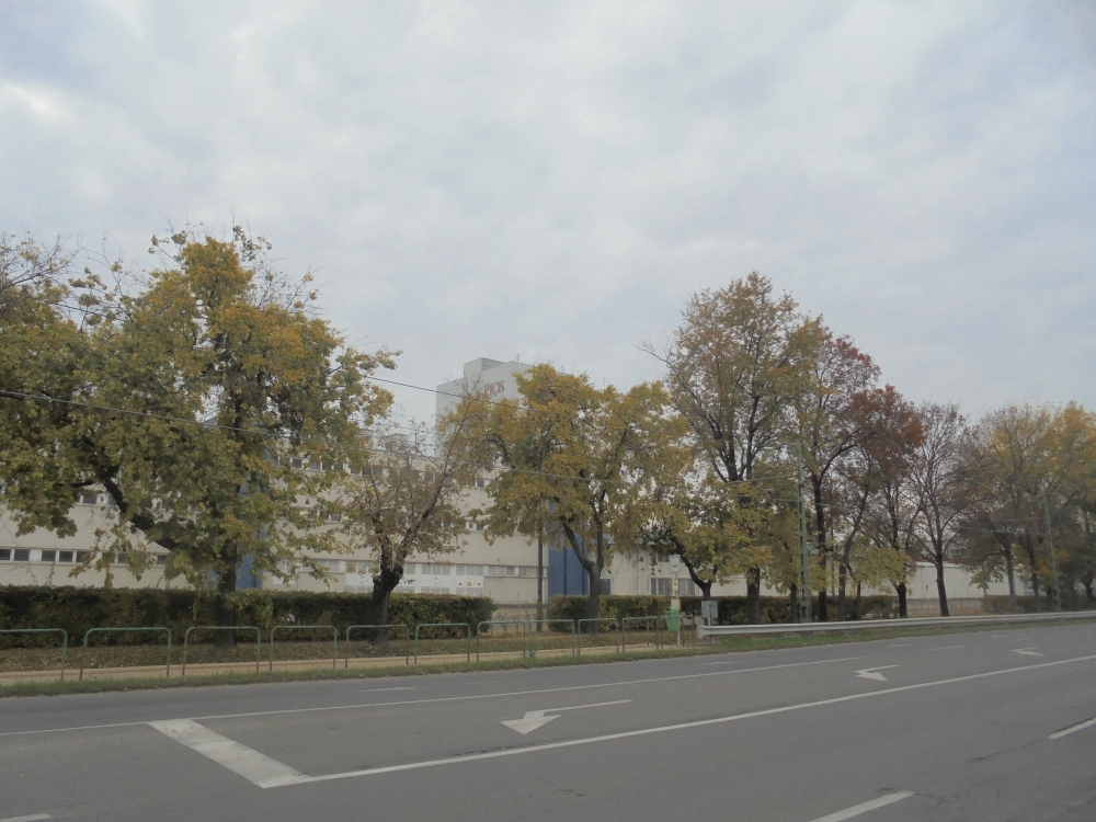 20171022_33_szeged_pick.JPG