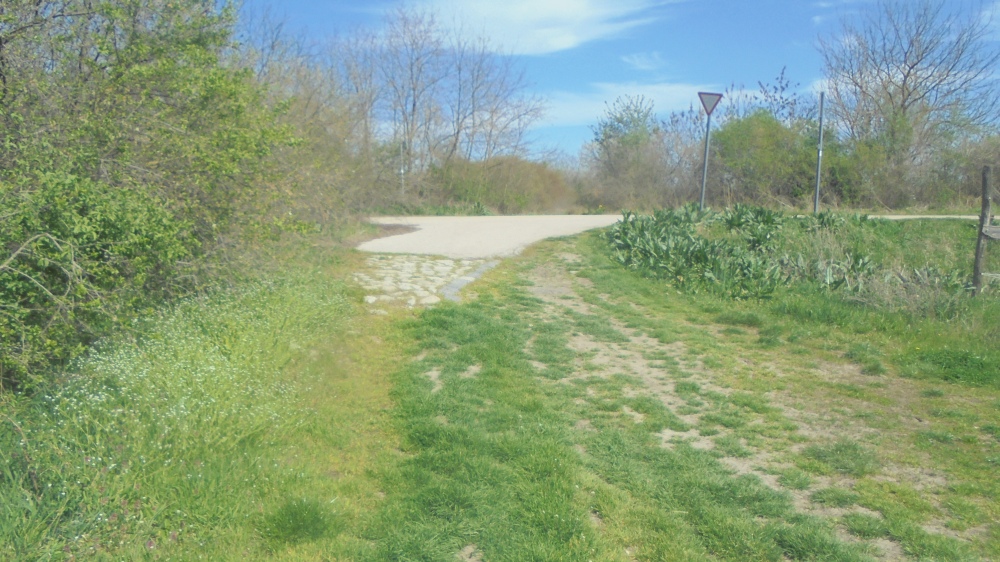 20240330_048.JPG