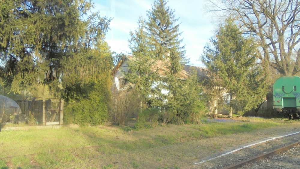 20240330_114_szoreg_orhaz.JPG