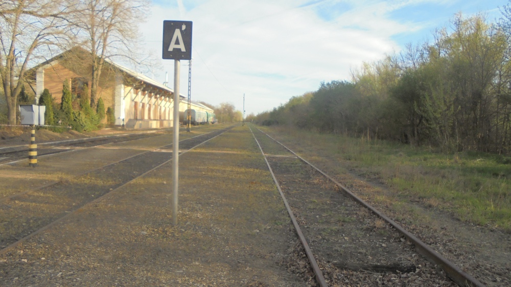 20240330_115_szoreg_ujszentivan_fele.JPG