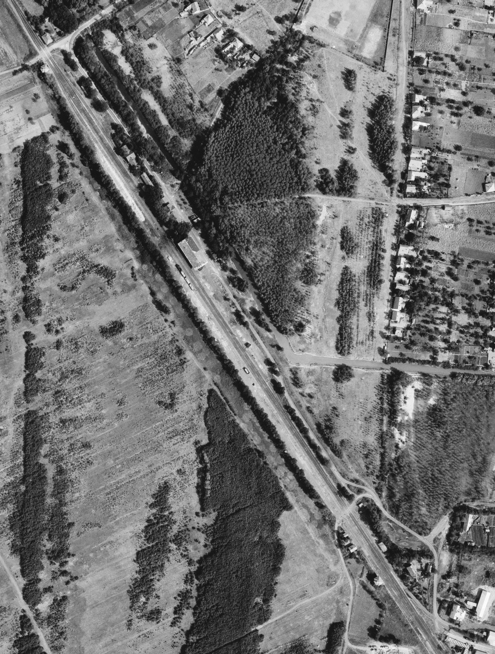 szoreg_1967.jpg