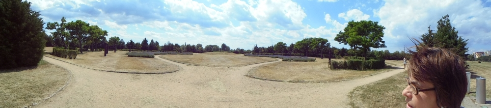 20160709_061_szekesfehervar_korpanorama.JPG