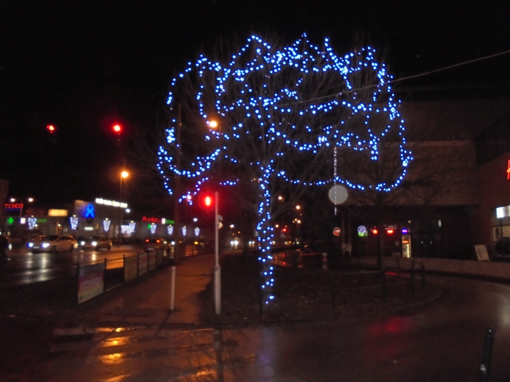 20161119_11_szekesfehervar.JPG