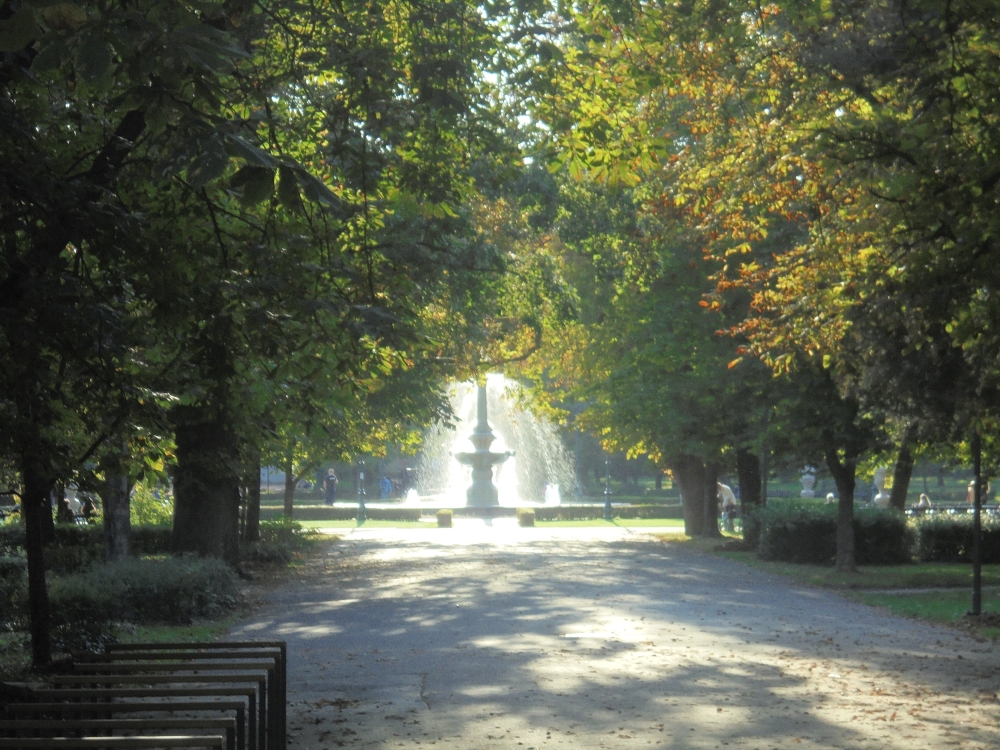 20170929_160_eger_szokokut.JPG