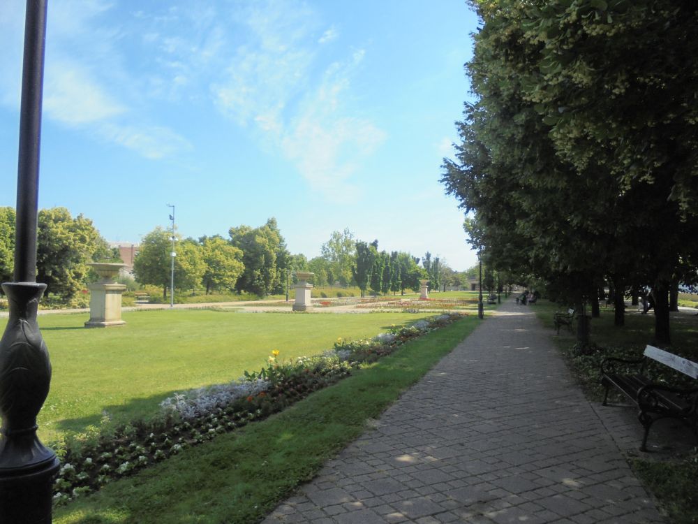 20170529_43_szolnok_verseghy_park.JPG