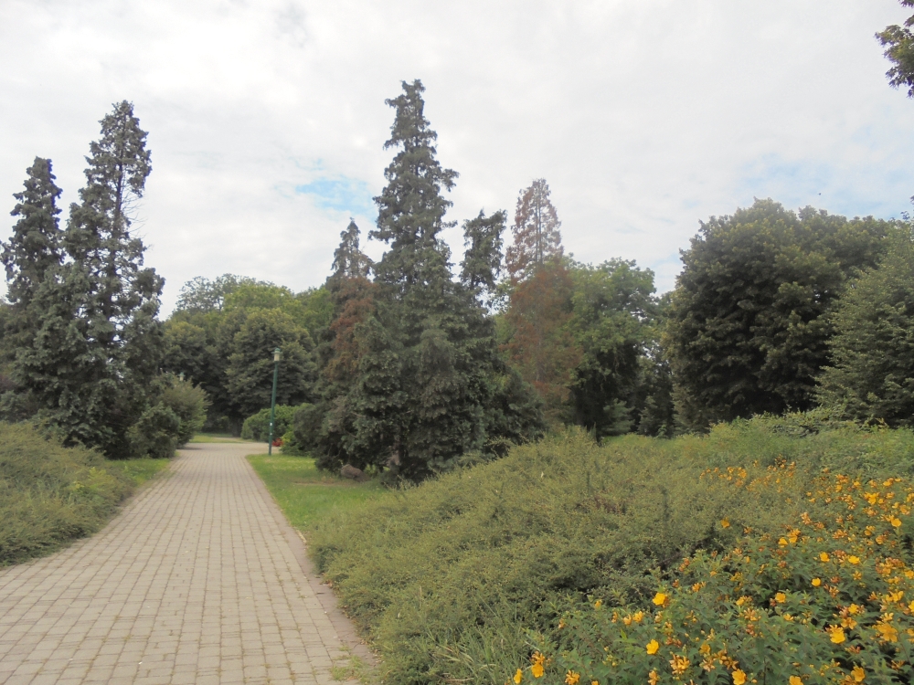 20180617_003_szombathely_pelikan_park.JPG