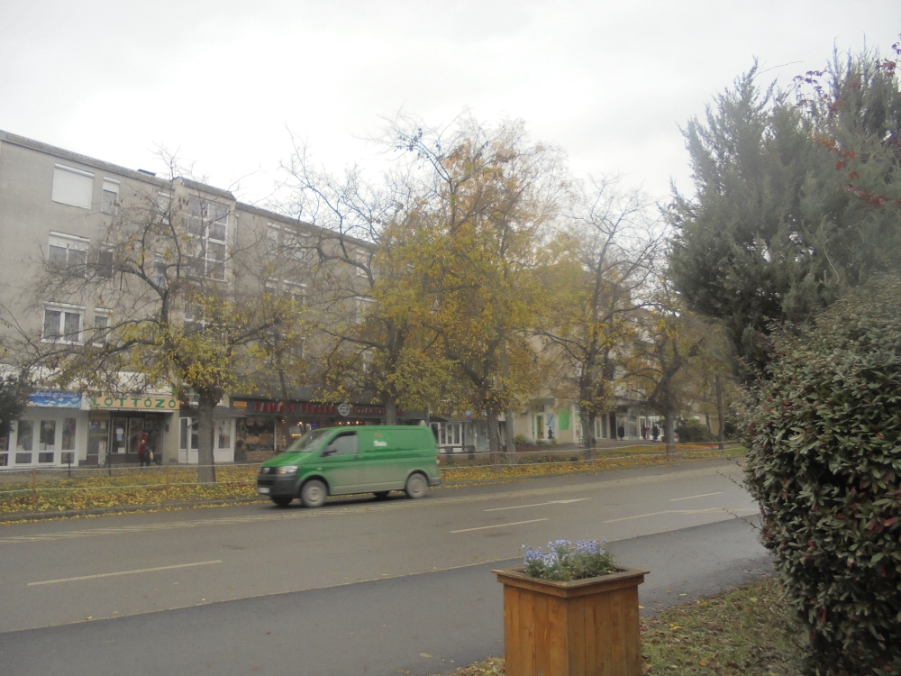 20201120_044_tamasi_65-szabadsag_u.JPG