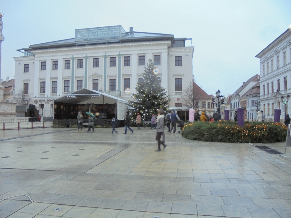 20161127_048_gyor.JPG