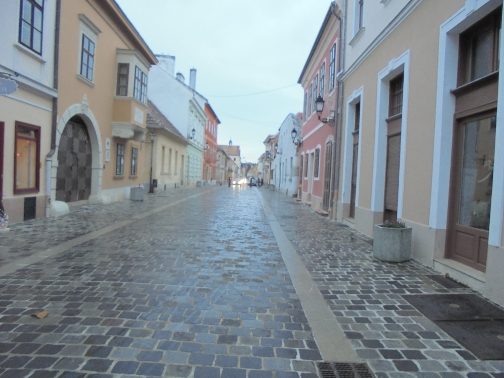 20161127_060_gyor.JPG