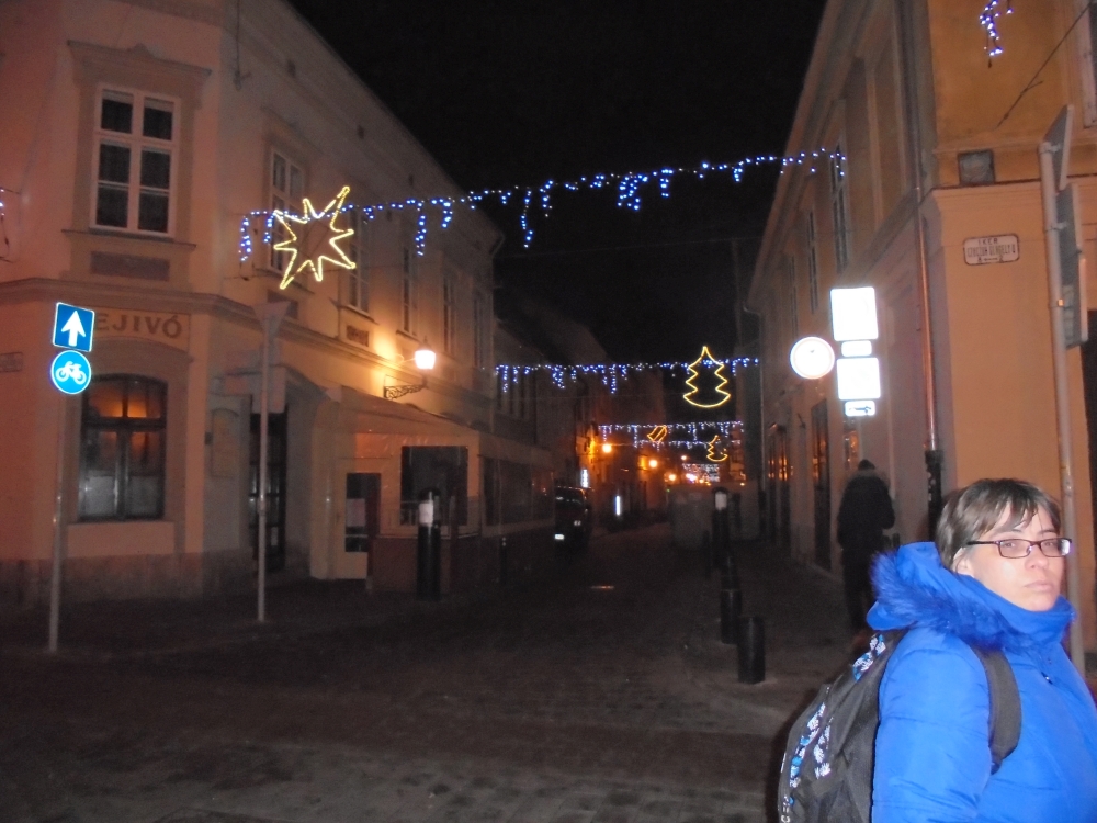 20161127_093_gyor.JPG