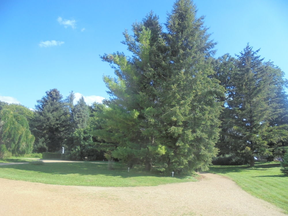 20200910_26_zirc_arboretum.JPG