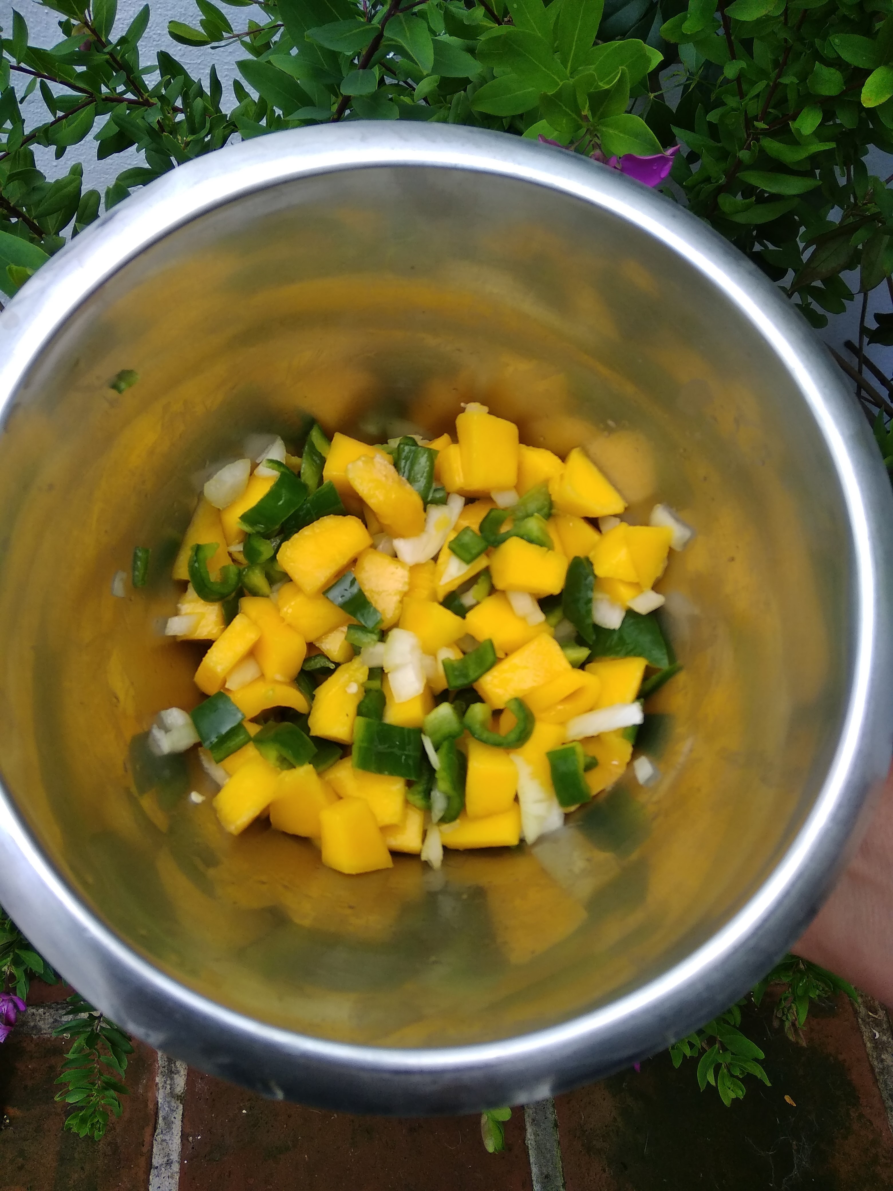 coin_mango_salata.jpg