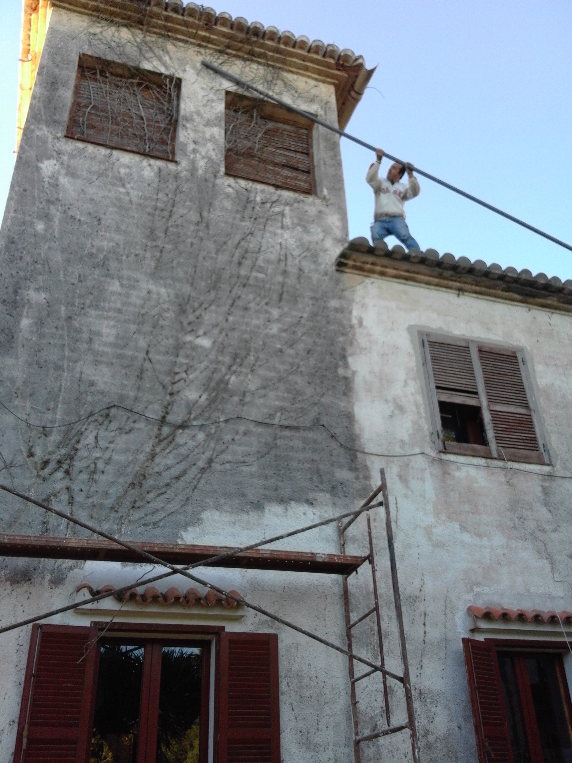 denia_faltakaritas.jpg