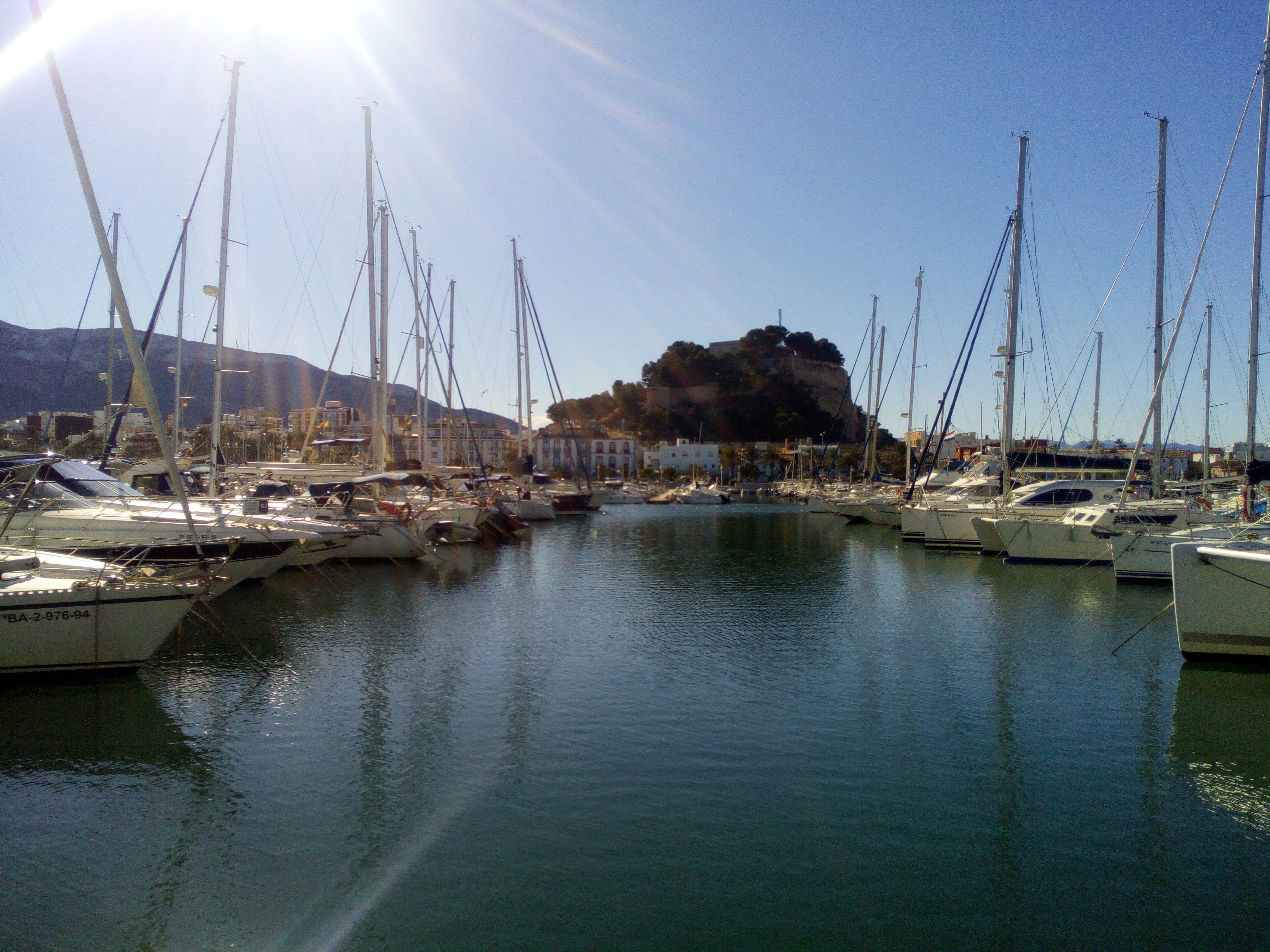 denia_kikoto.jpg