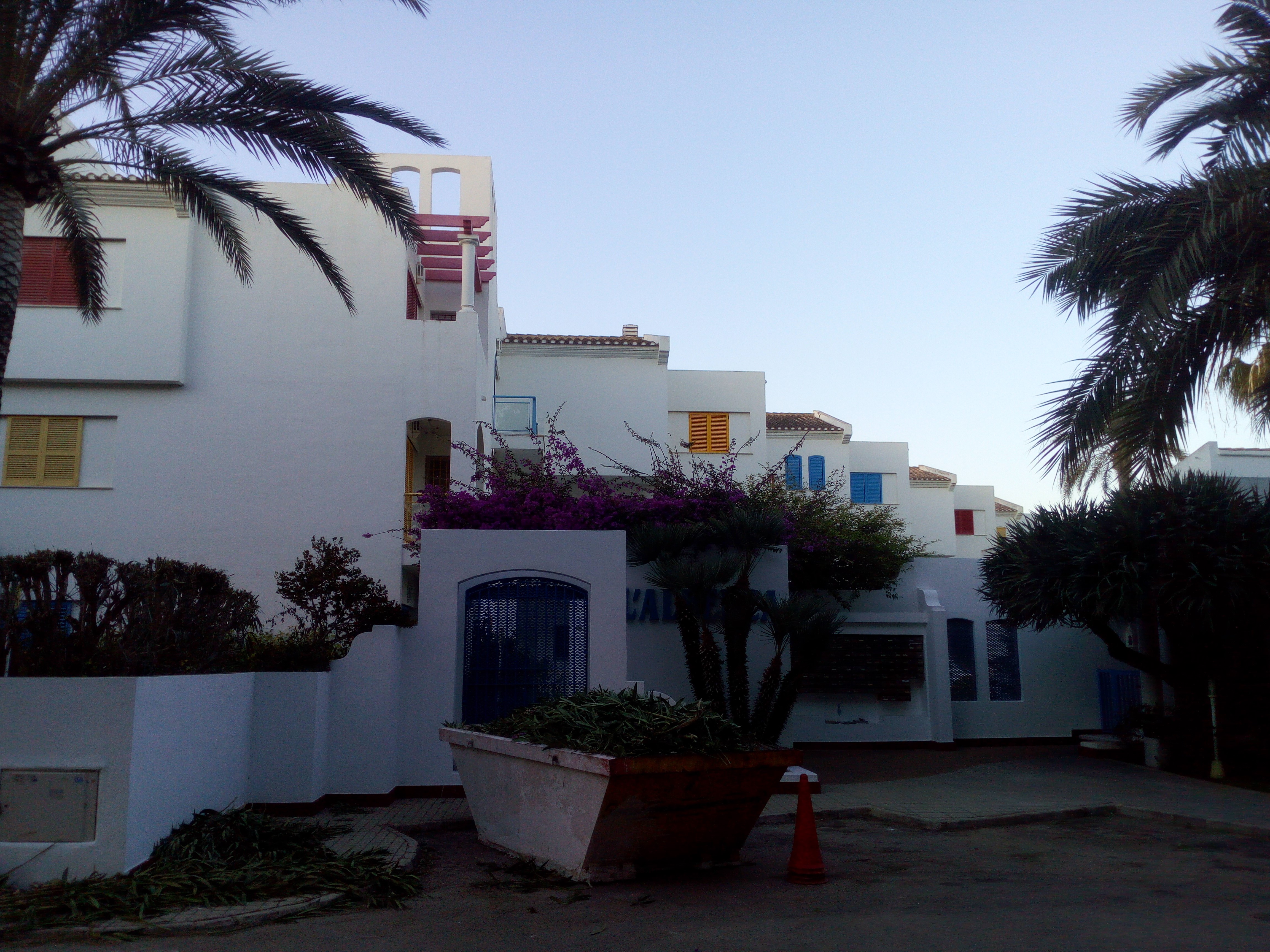 denia_redonyok_lehuzva.jpg