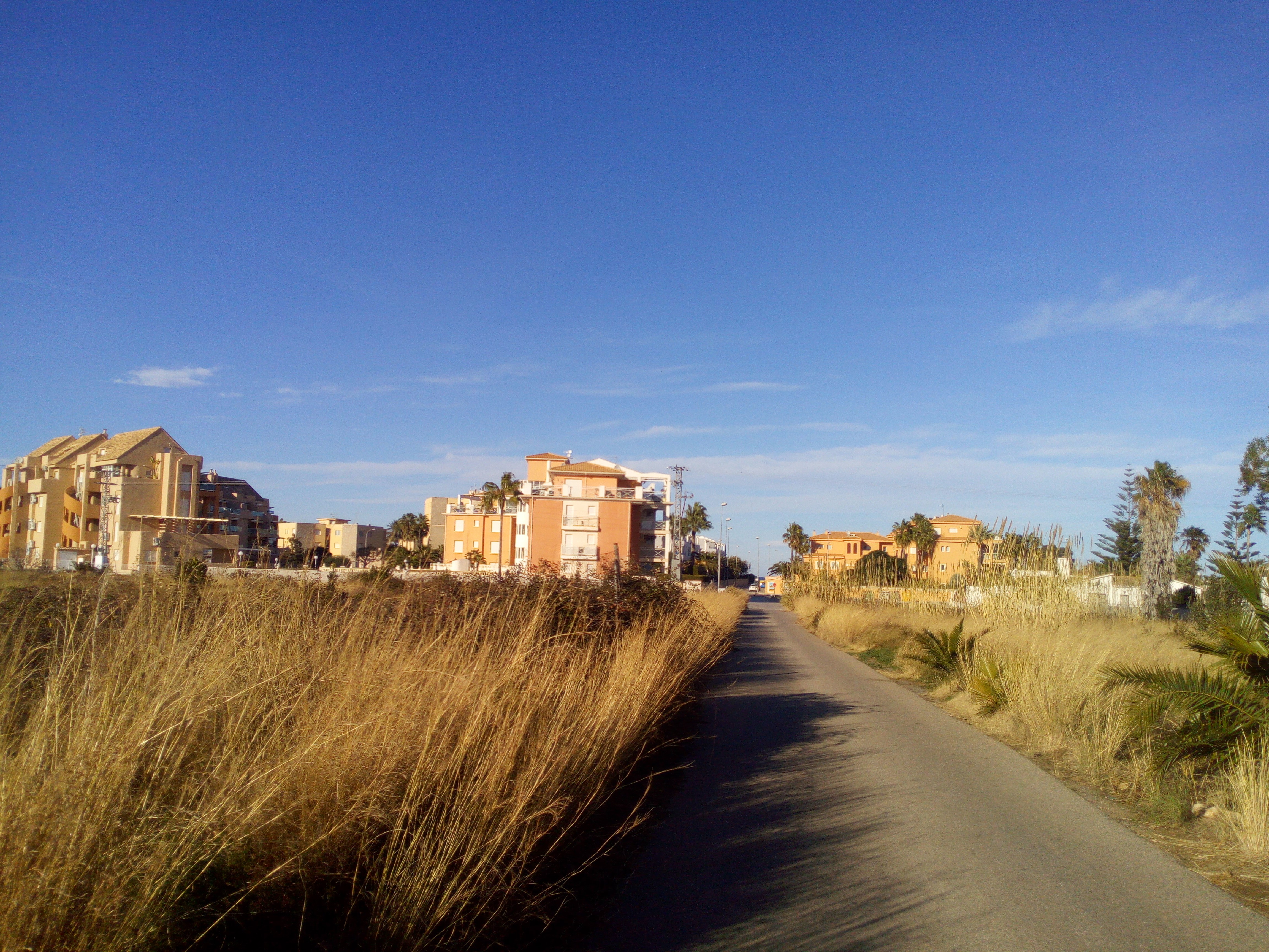 denia_ut.jpg