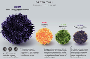 Infografika a járványok történetéről, a halálos áldozatok számának tükrében