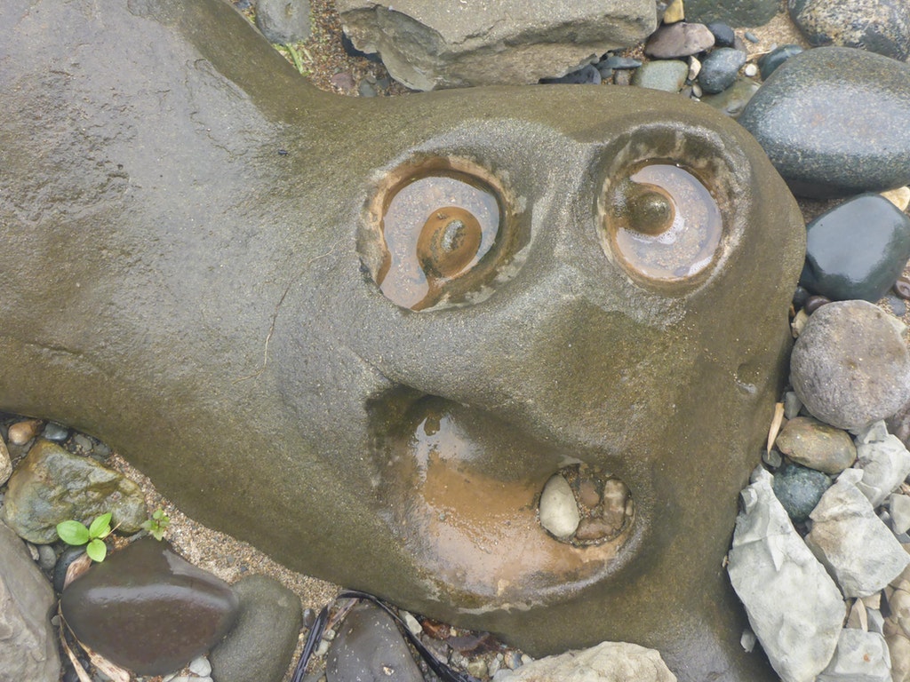 pareidolia_2.jpg