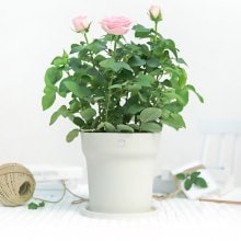 20180717180421_18477_1.jpg