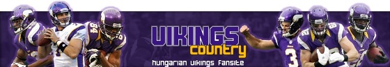 bejegyzesvikingsbanner2.jpg