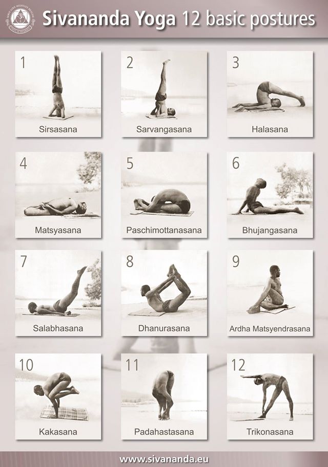sivananda_yoga_12_basic_postures_0.jpg