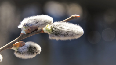 Húsvét, meg húsvéti menü