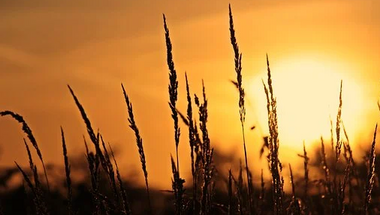 Napi gondolat szeptemberben - 0. nap