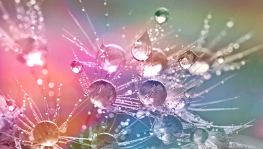 Napi gondolat szeptemberben - 18. nap