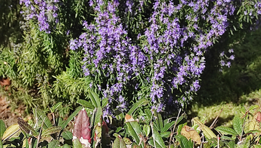 Képekben az élet (1.rész) - 2025 tavasza Budapesten