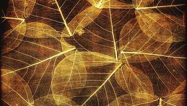 5 téma, ami novemberhez köthető