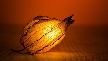 Két kérdés a bloggal és a bejegyzésekkel kapcsolatban