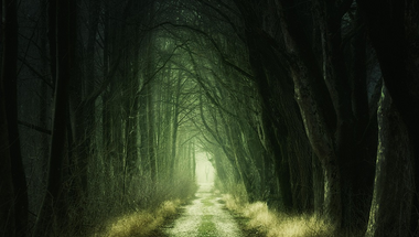 Goth világnap (2020)