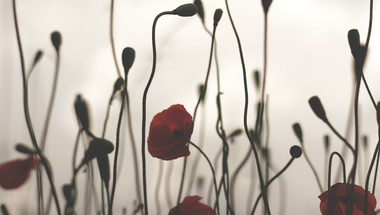 Napi gondolat szeptemberben - 13. nap