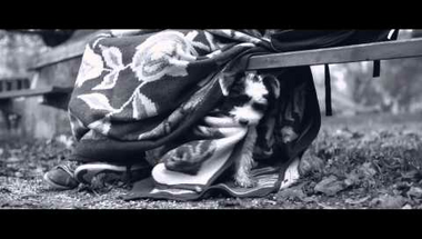 Van kedved sírni? Egy klip és egy kisfilm, ami sírásra ösztönöz