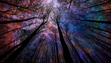 Könnyed téma helyett... a blog sorsa és gondolatok