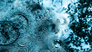 Napi gondolat szeptemberben - 5. nap