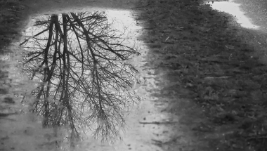 Napi gondolat szeptemberben - 6. nap