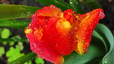 Hogyan telt a pünkösd hétfő 2025-ben?