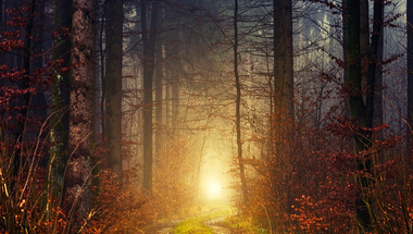 Napi gondolat szeptemberben - 14. nap