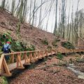 Életem első instant kihívása: Misina Trail a Mecsekben