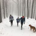 Az internet első cikke a téli futásról