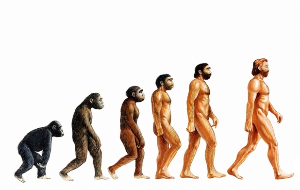 Human-Evolution.jpg