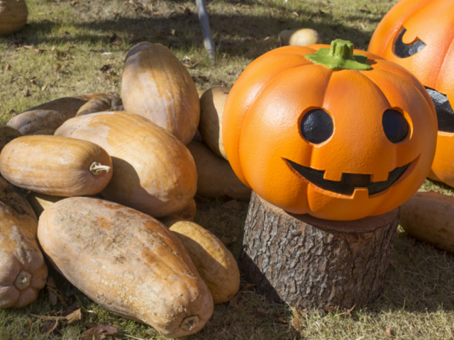 Halloween és a magyar kultúra feltáruló titkai