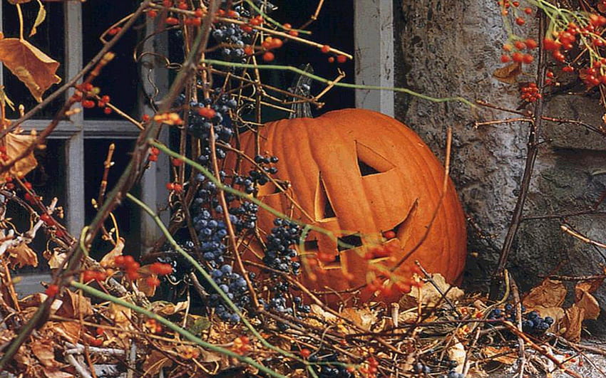 desktop-wallpaper-autumn-in-the-country-halloween-leaves-window-fall-pumpkin-berries-jack-o-lantern-autumn.jpg