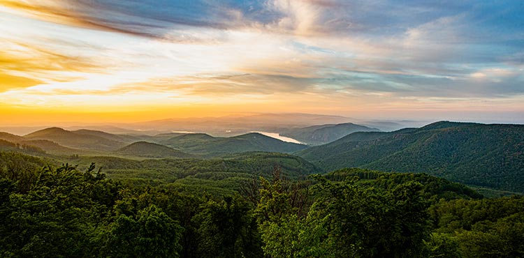 oszi-turak-visegrad-erdei-foto.jpg