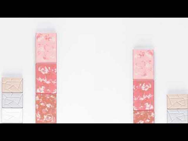 Oriflame The One Pro komplett paletta
