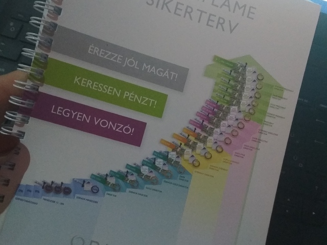 Elkezdődött Nini alapcsapat képzése