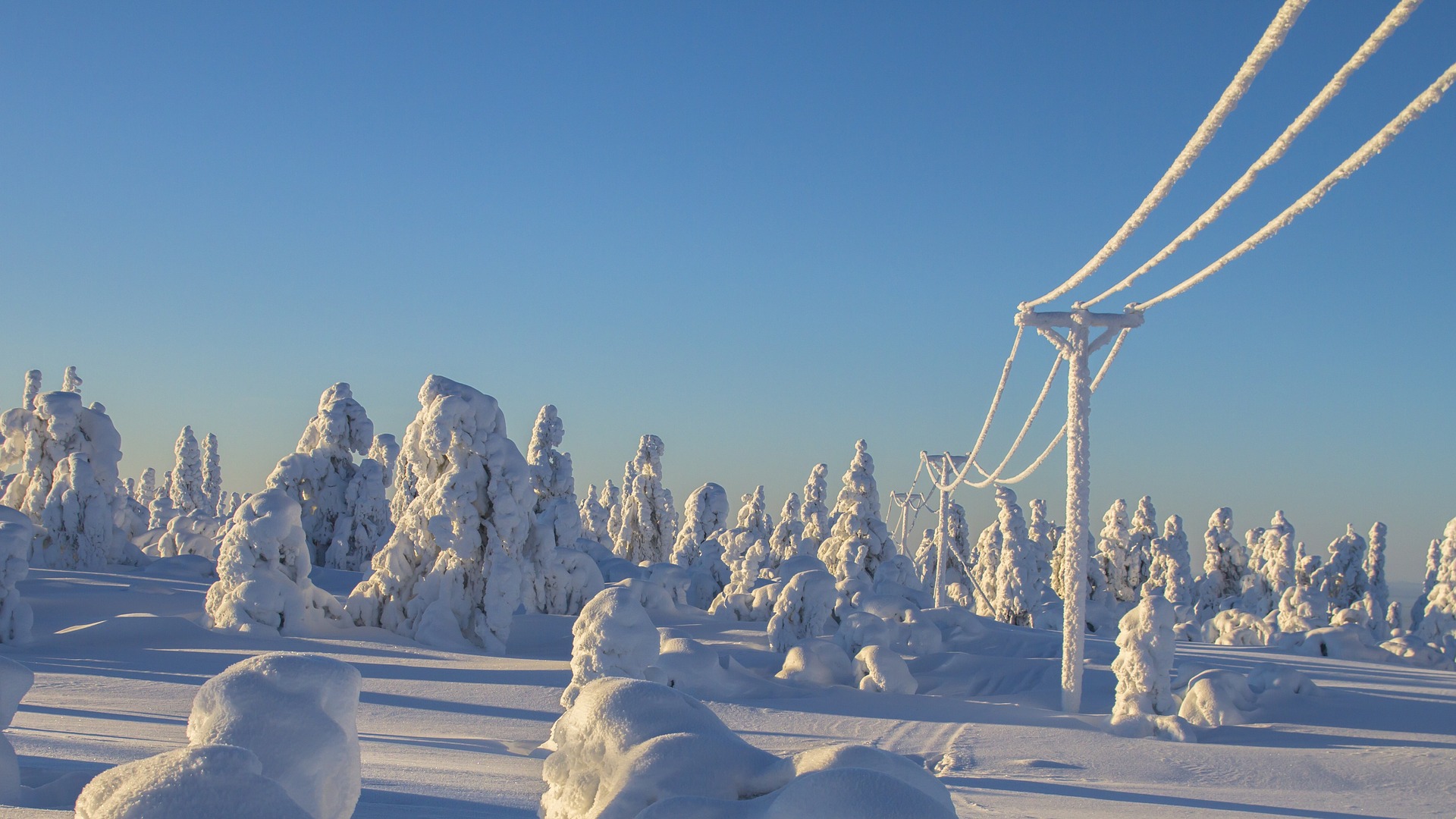 lapland-2984822_1920.jpg