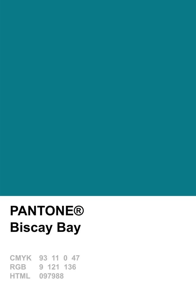 pantone_biscay_bay.jpg