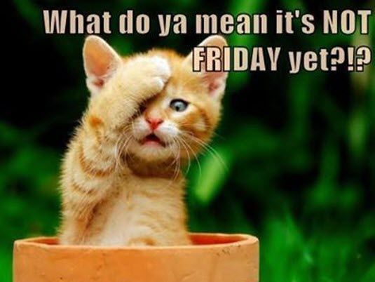 what-do-ya-mean-its-not-friday-yet-.jpg